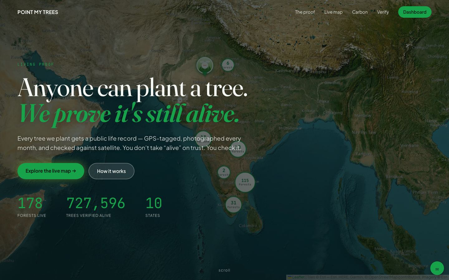 Point My Trees homepage on desktop